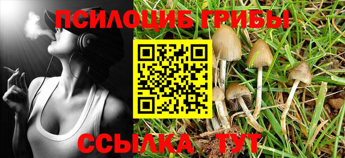 Минеральные Воды  Галлюциногенные грибы Psilocybine cubensis  сколько стоит  Вход с VPN 