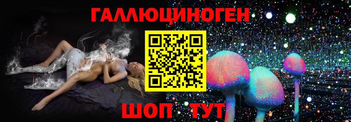 Псилоцибиновые грибы прущие грибы Минеральные Воды